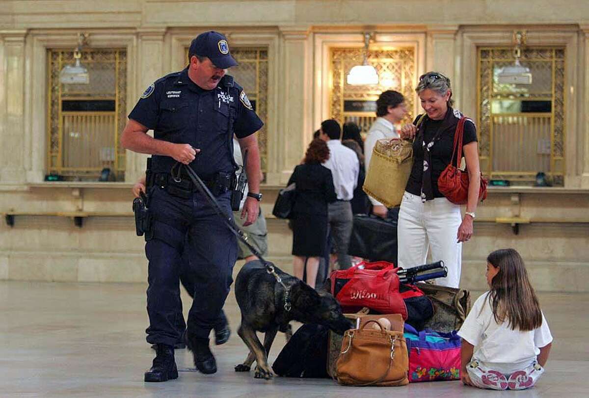 MTA K9 unit has selective progress for dogs, handlers