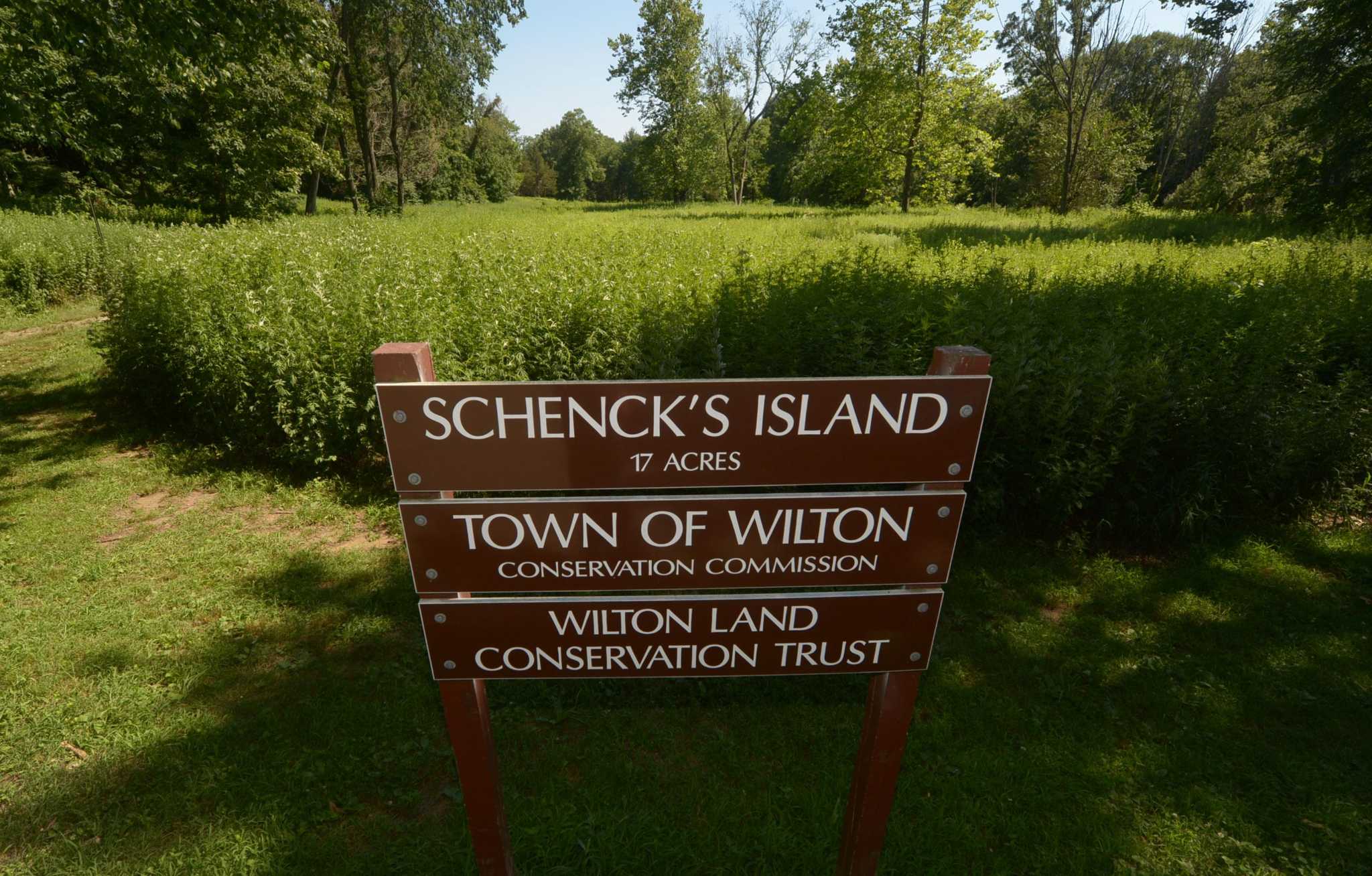 Potential Landscape Architect For Wilton Parks Survives Last Minute   RawImage 