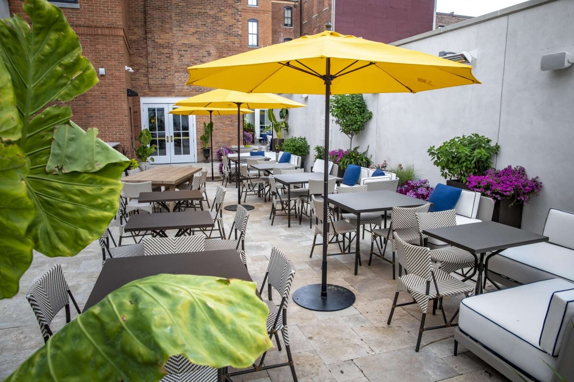 Adelphi Wine and Beer Garden