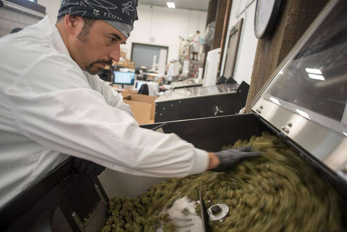 Cannabis is packaged and processed at Flow Kana, a CA-based cannabis brand that sources from small batch craft farmers, at their facility in Redwood Valley, CA on July 13, 2018. George Wilson runs the trimming machine at Flow Kana.