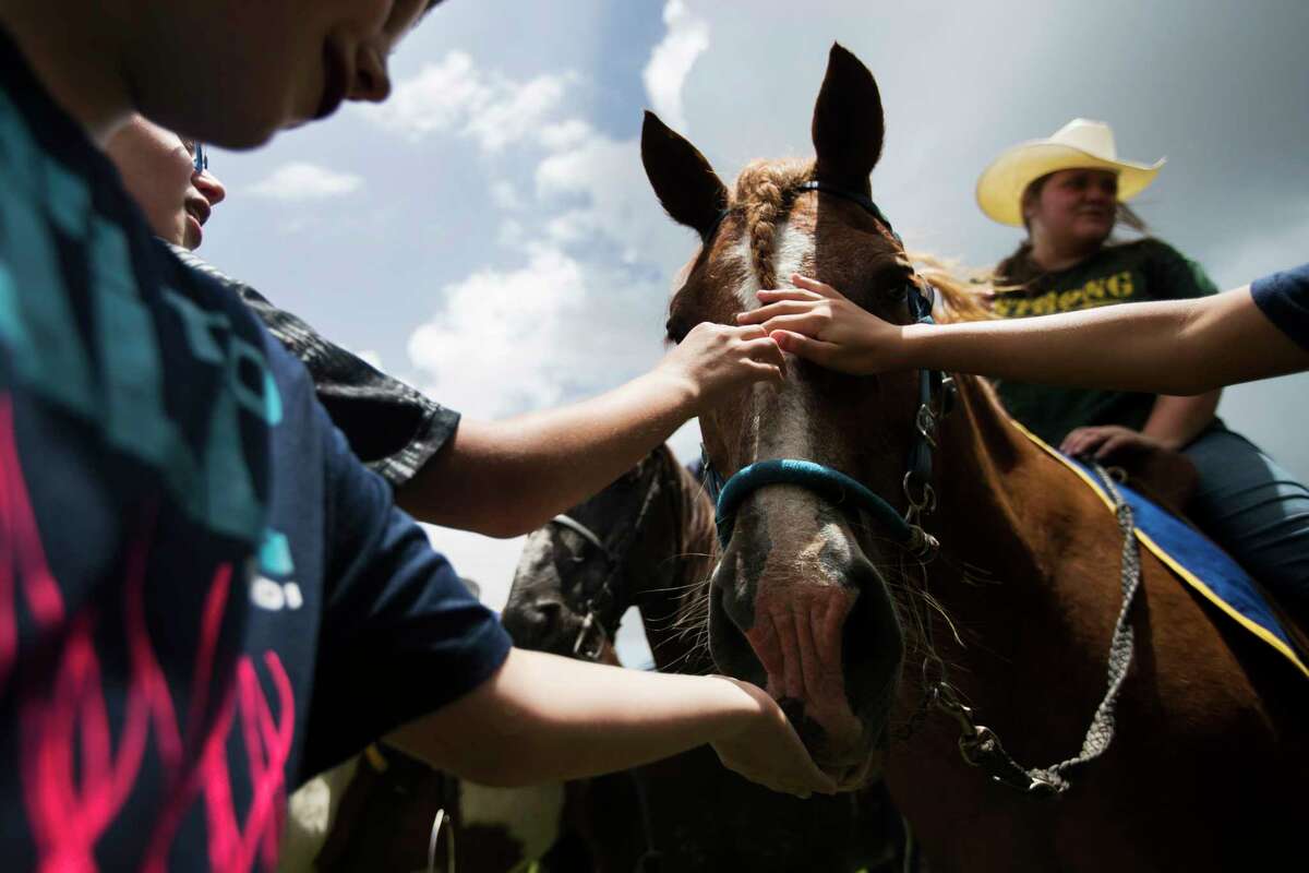 Shiloh the horse is petted by children attending the Santa Fe High School's class of 2008 reunion fundraising event benefiting Santa Fe shooting victims, Sunday, July 15, 2018.