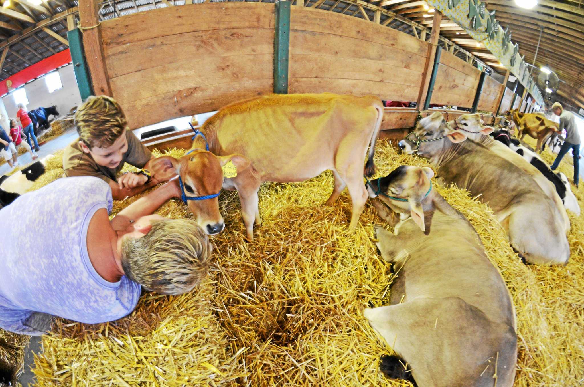 goshen-fairgrounds-to-host-litchfield-county-4-h-fair-aug-4-5