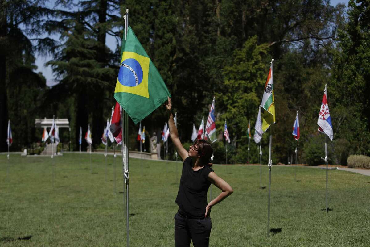 Brazilian artist Maril Dardot reaches for her Brazilian flag at her installation of Saudade (Our Flags) at Montalvo in Saratoga, Calif.
