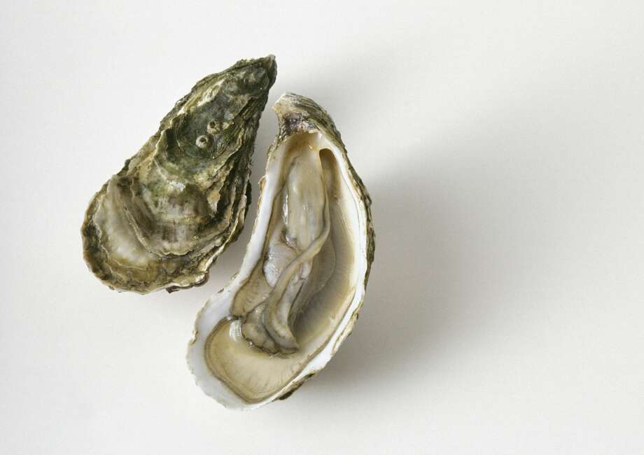 Florida Man Dies After Eating Oyster Tainted With Flesh Eating