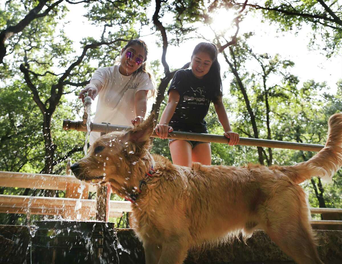 Kristian Martinez (left0, and her sister Gabriela Martinez water down their 7-month-old golden retriever “Winston” at Hardberger Park on Friday, June 23, 2017 after a hot run in the dog park.