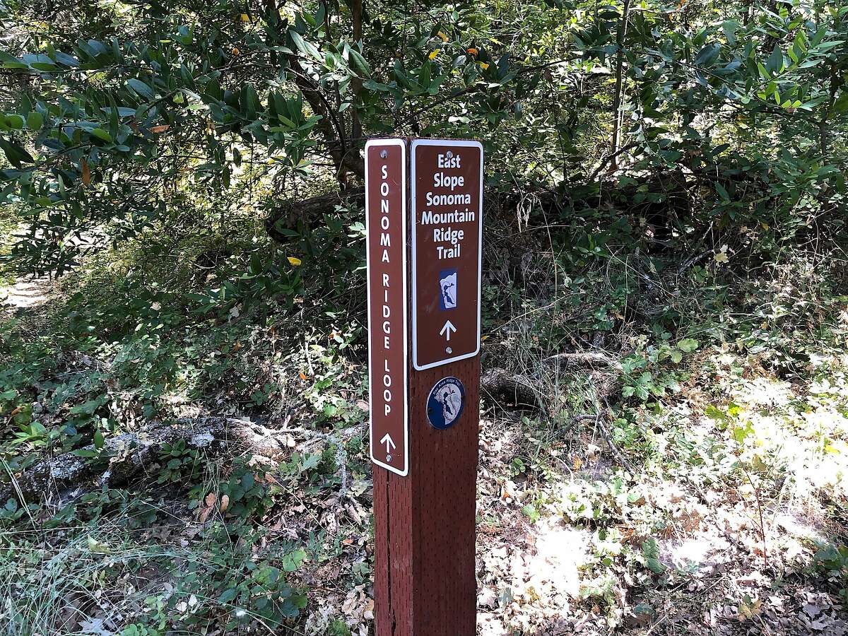 Trail junctions are well signed with direction posts at Jack London State Historic Park