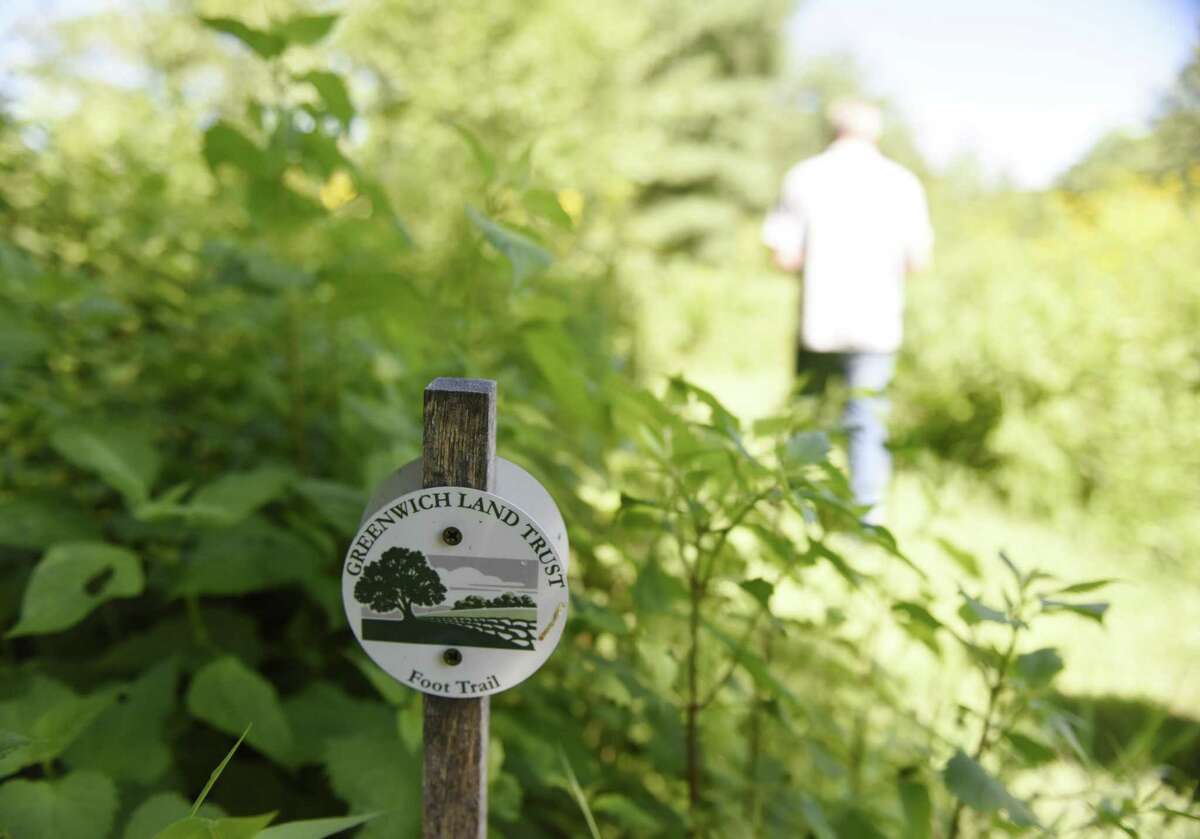 A sign indicates the new accessible walking trail at the Greenwich Land Trust’s Mueller Preserve. It traverses 4 acres of land with a variety of different habitats and ecosystems, a microcosm of those found throughout the town, over the short loop. The trial will be unveiled at the GLT’s Annual Membership Picnic from 5 to 7 p.m. Wednesday.