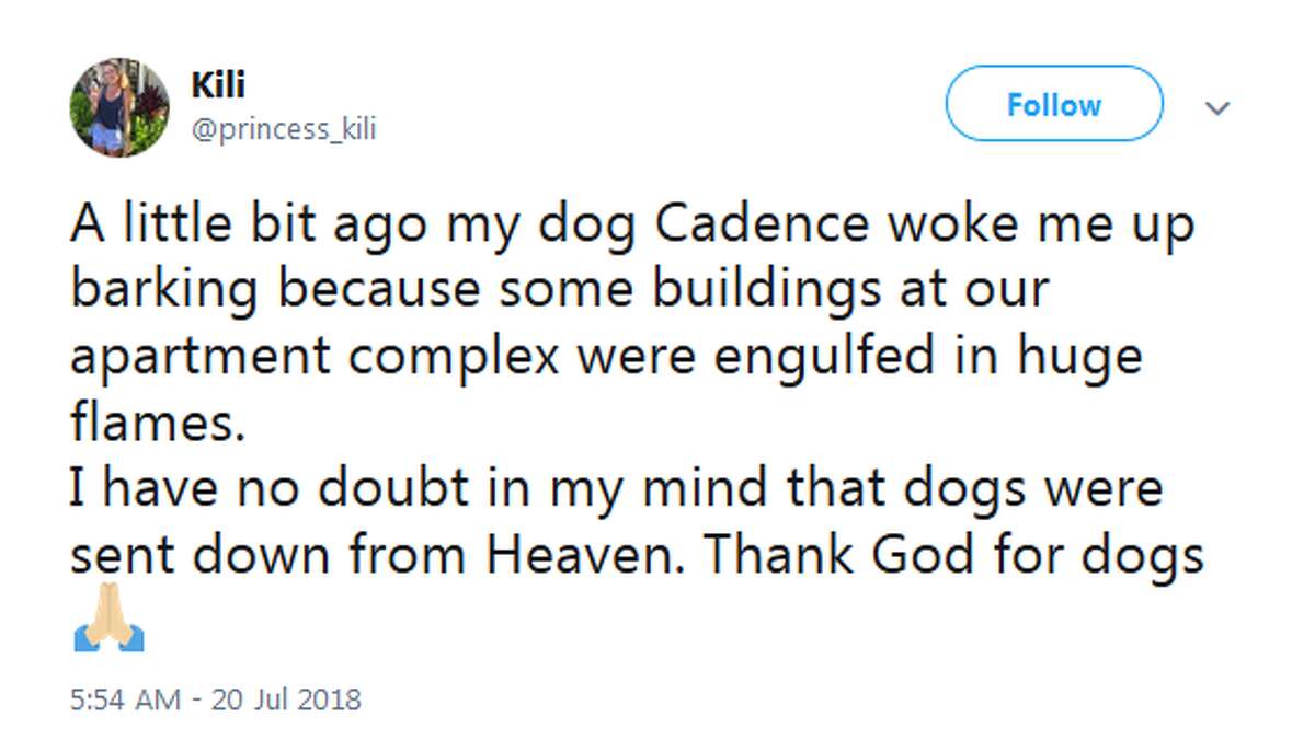 @princess_kili: A little bit ago my dog Cadence woke me up barking because some buildings at our apartment complex were engulfed in huge flames. I have no doubt in my mind that dogs were sent down from Heaven. Thank God for dogs
