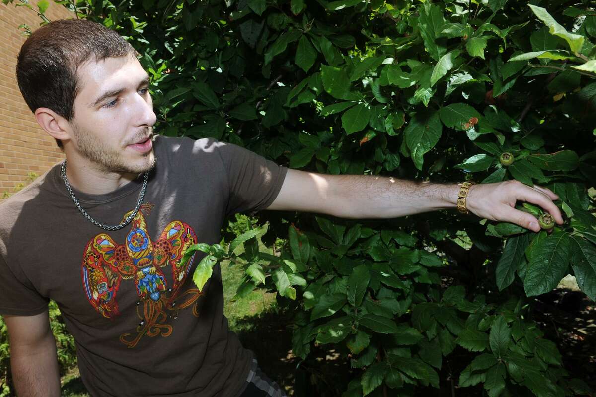 UB’s garden of medicinal wonders