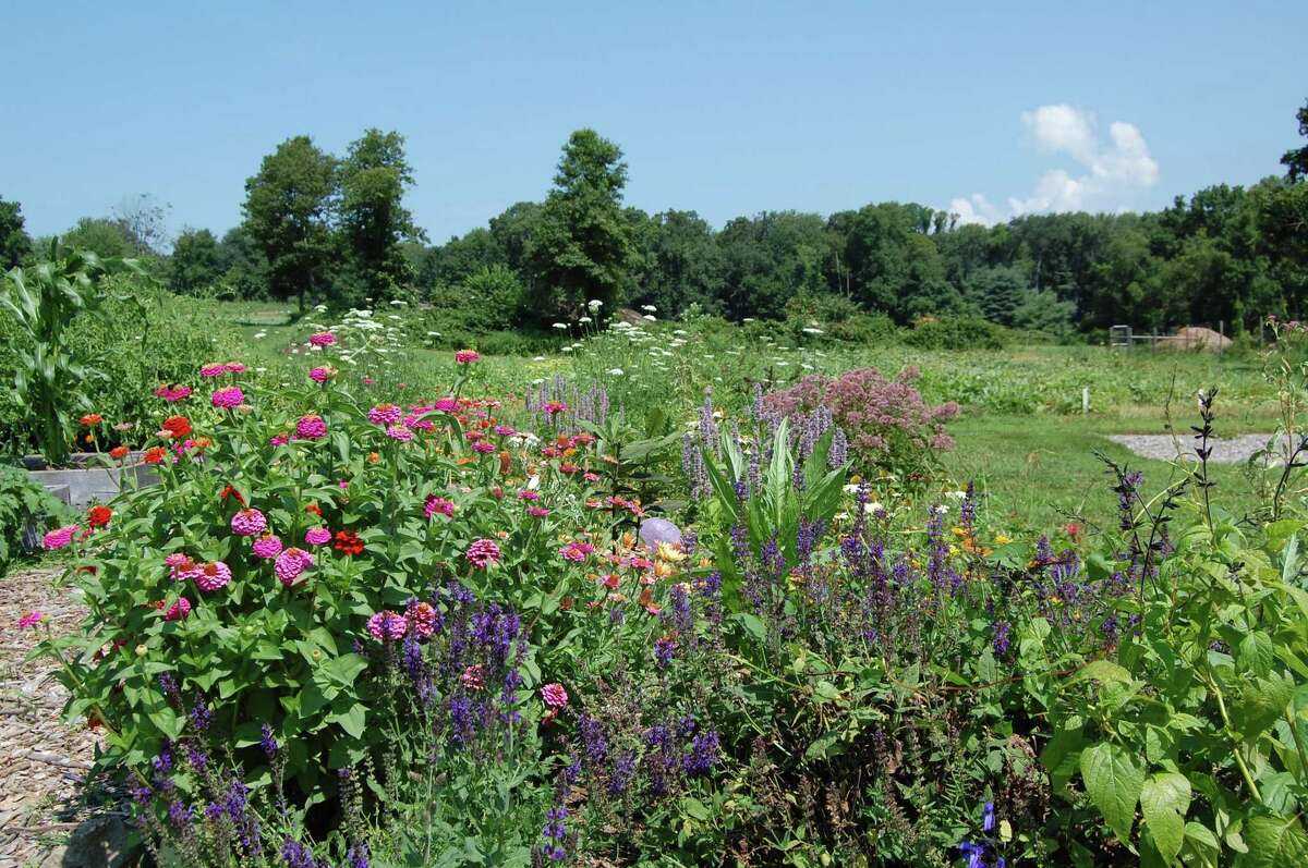 A volunteer educator at Massaro Farm in Woodbridge will speak about how to attract vital pollinators?—birds, bees, and butterflies?—to their yards, gardens, decks, and even 'cityfied' front stoops, at 2 p.m. Aug. 5, at the Pardee-Morris House, the ?“summer home?” of the New Haven Museum.