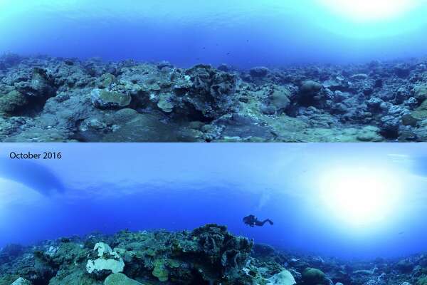 Expanded Protection Of Coral Reefs In Gulf Of Mexico May Not Be