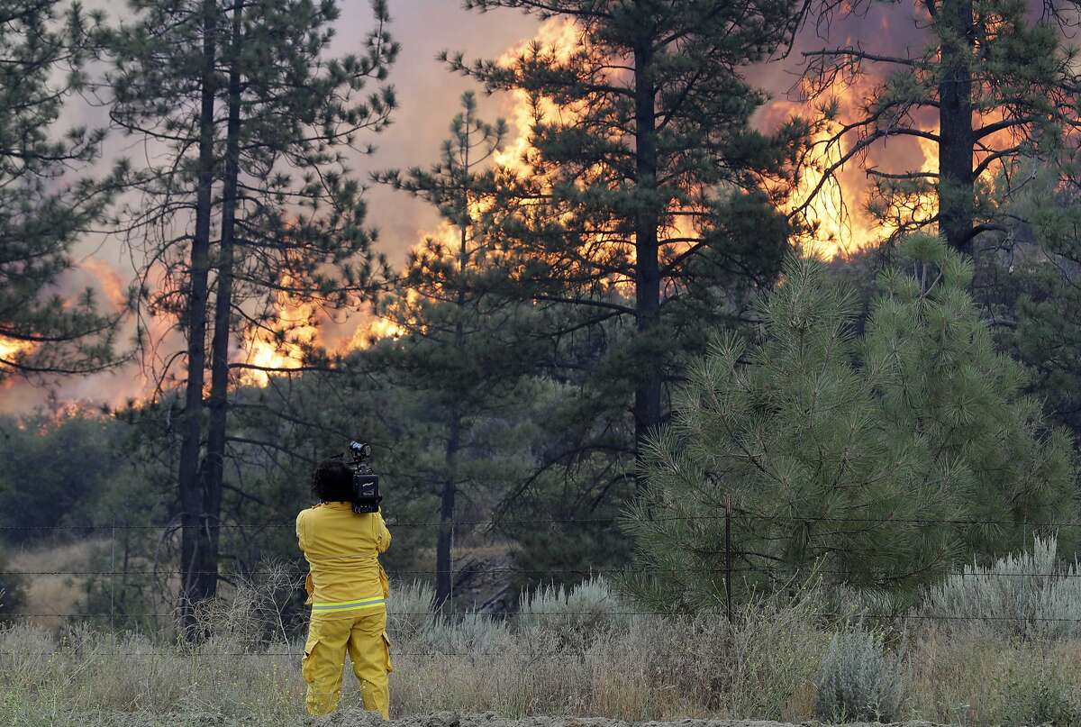 Wildfire causes Stupidity, carelessness, neglect