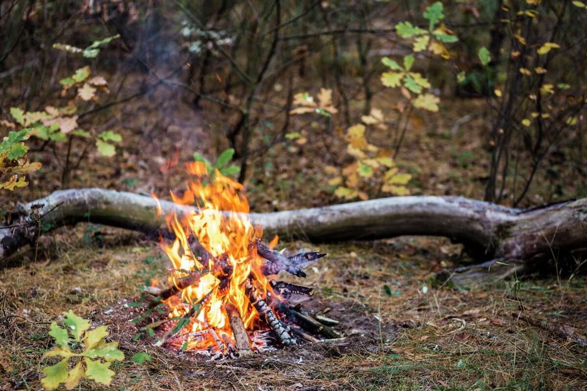 Stupidity, carelessness, neglect The worst human causes of wildfires