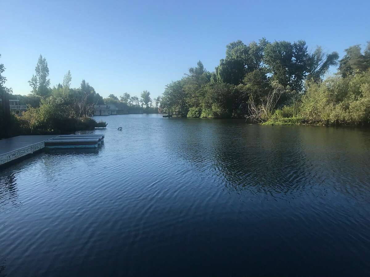 Yachts docked on an island on the Sacramento-San Joaquin River Delta on recent summer day.