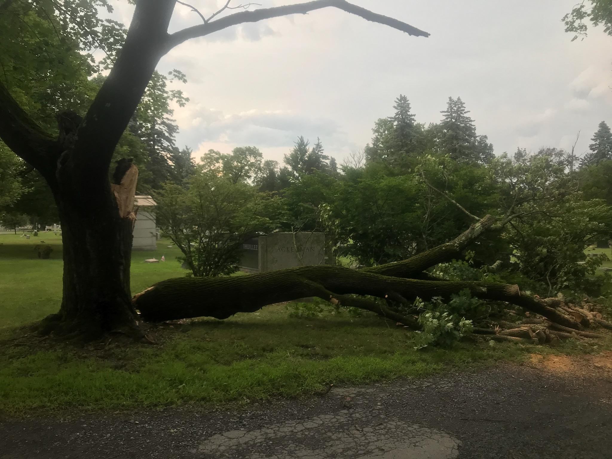 Thunderstorms cause damage in region