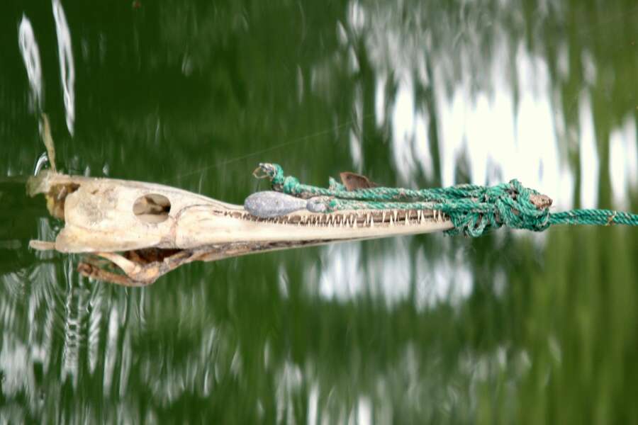 passive fishing gear