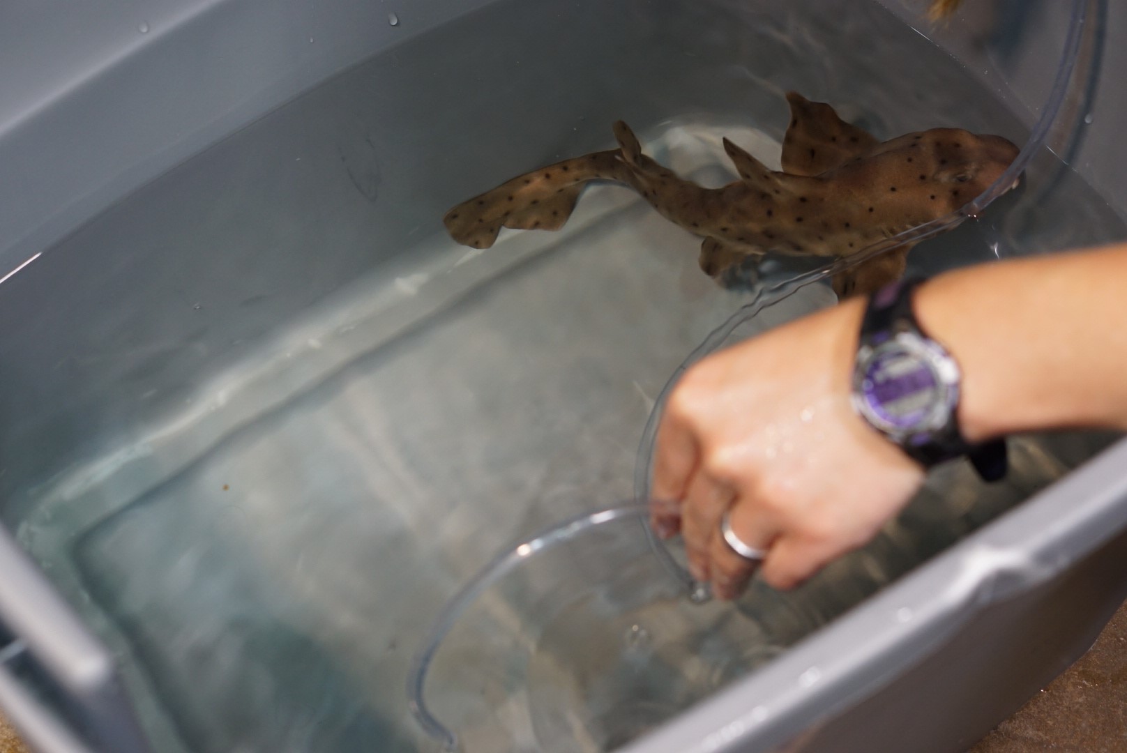 Shark Tank winner visits San Antonio with his secure fingerprint
