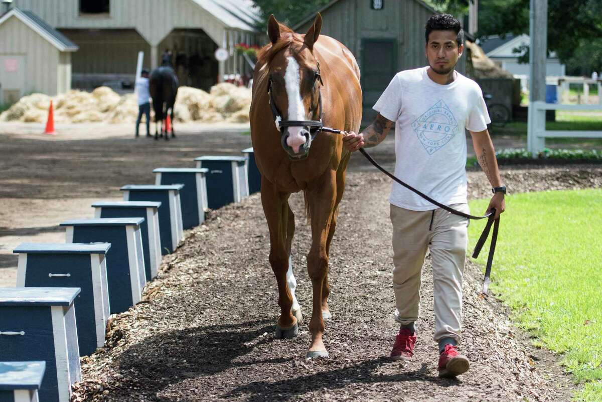 Saratoga horse trainer agrees to repay $1.6 million in back wages, overtime