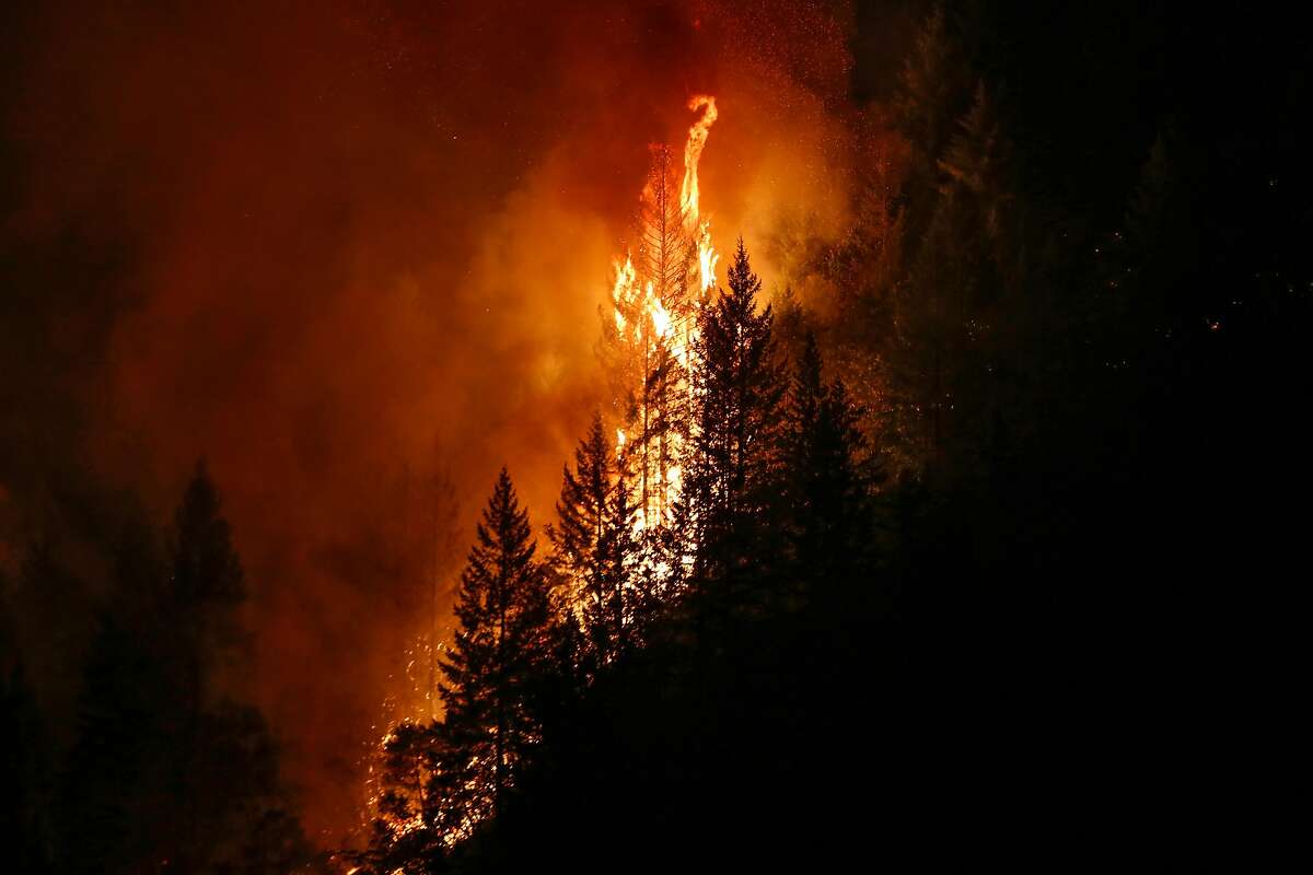 Trees burn in the Carr Fire on July 30, 2018 west of Redding, California. Six people have died in the massive fire, which has burned over 100,000 acres and forced thousands to evacuate since it began on July 23.