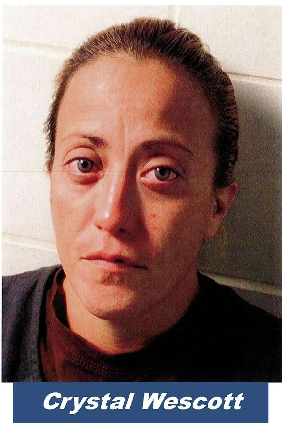 Crystal Wescott is facing federal drug charges after authorities allegedly caught her buying crystal meth.