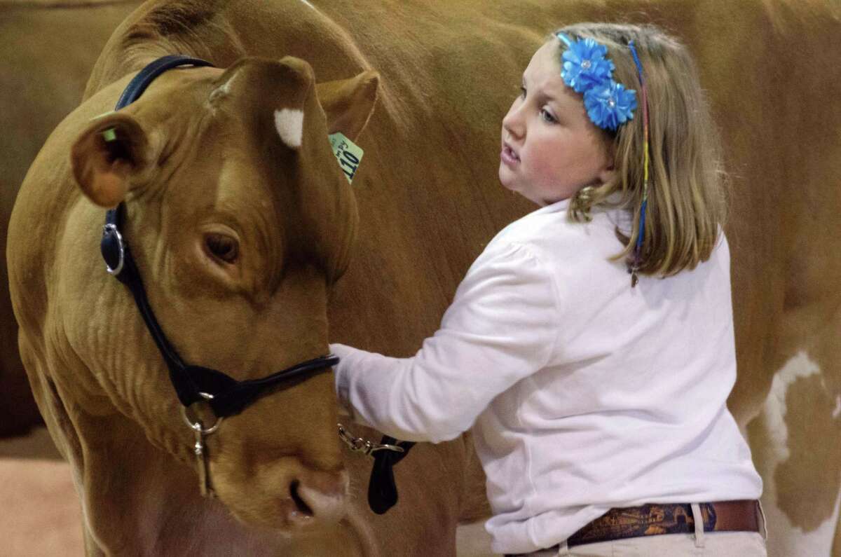 Durham Fair Exhibitors Do It For Bragging Rights Not The Prizes durham-fair-exhibitors-do-it-for-bragging-rights-not-the-prizes