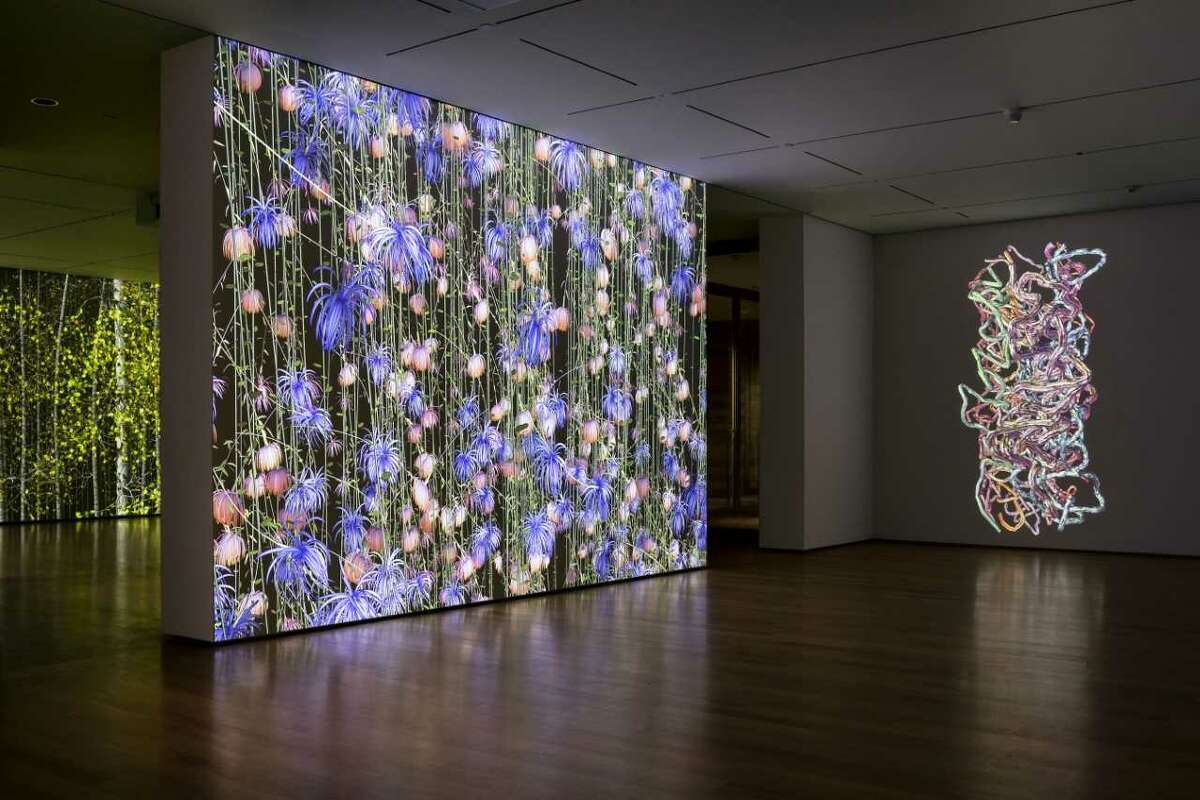Jennifer Steinkamp's "Blind Eye" - installation view B