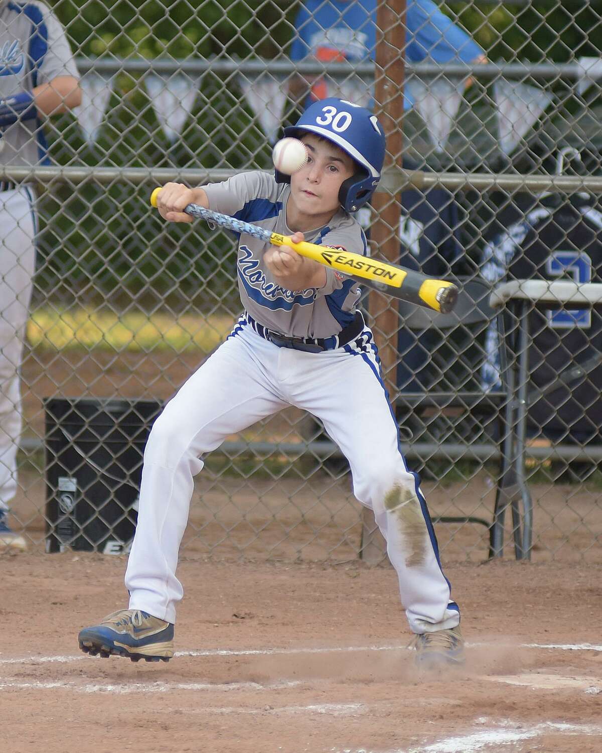 One year later, Norwalk Ripken 12s ready to fly high again