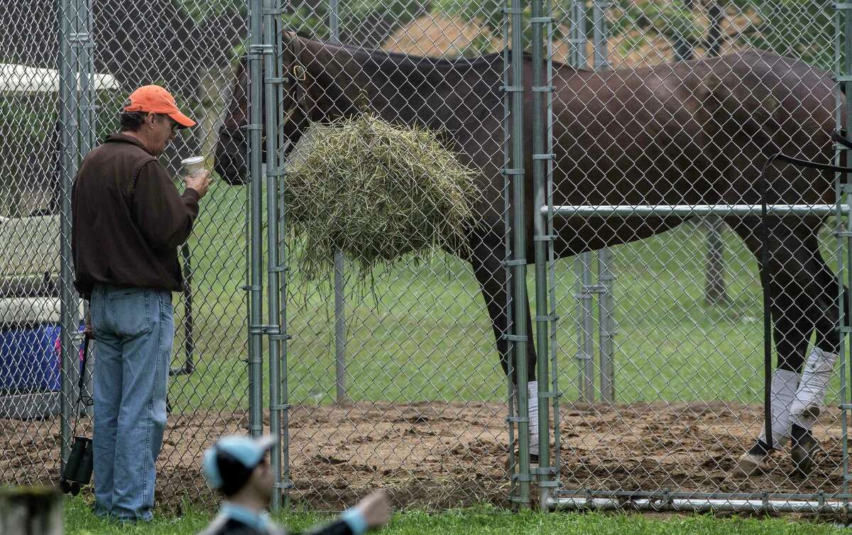 Trainer Rick Violette enjoys a quiet moment in the barn area of the Saratoga Race Course with his trainee Diversify, now the Whitney Stakes winner Sunday Aug. 5, 2018 in Saratoga Springs, N.Y. (Skip Dickstein
