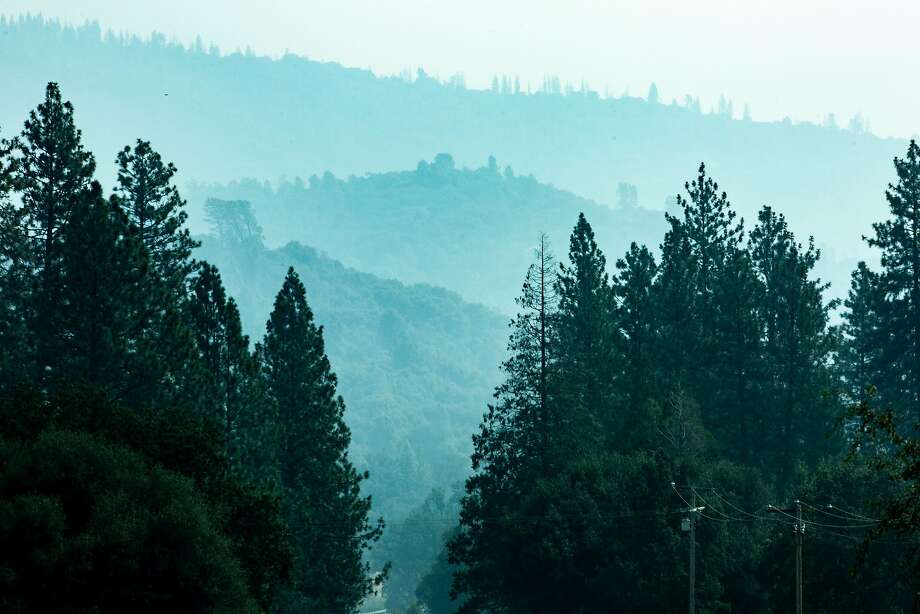 Report Yosemite, Joshua Tree, all other national parks in Calif. have