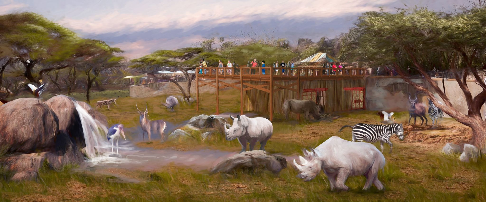 San Antonio Zoo expanding rhino habitat to create 'true savanna-like