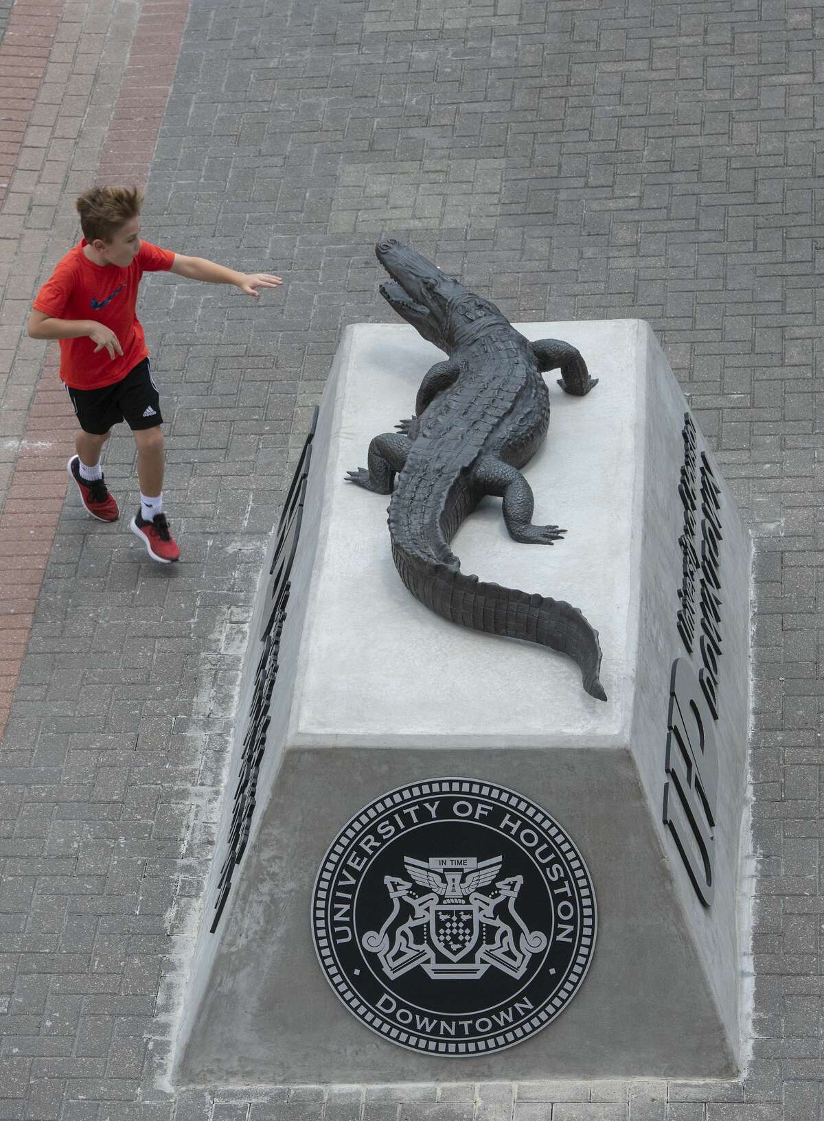 Why does University of Houston-Downtown have an alligator as a mascot ...