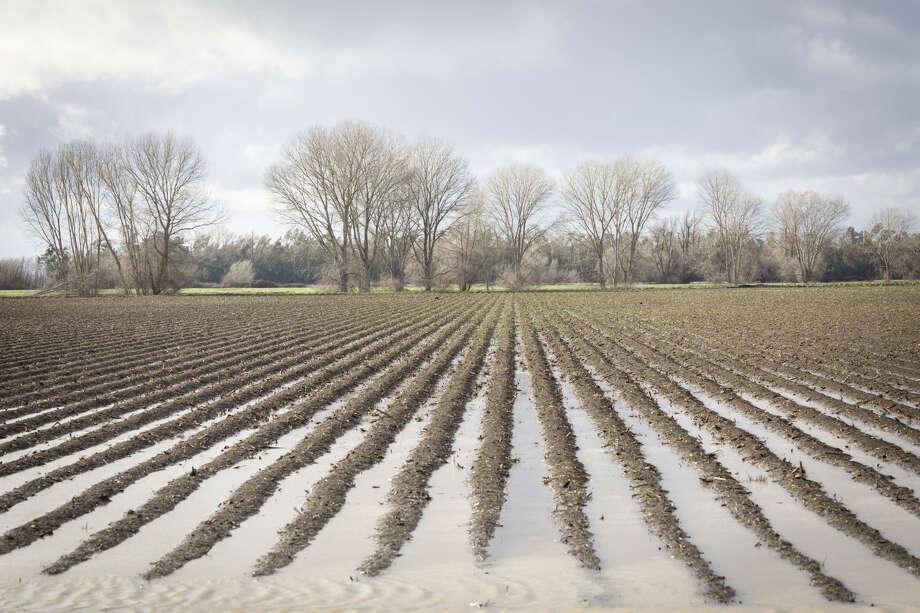 Glenn County
Percent of housing units in high to extreme risk: 11 percentNumber of housing units in high to extreme risk: 1,200 Photo: David Madison / Getty Images