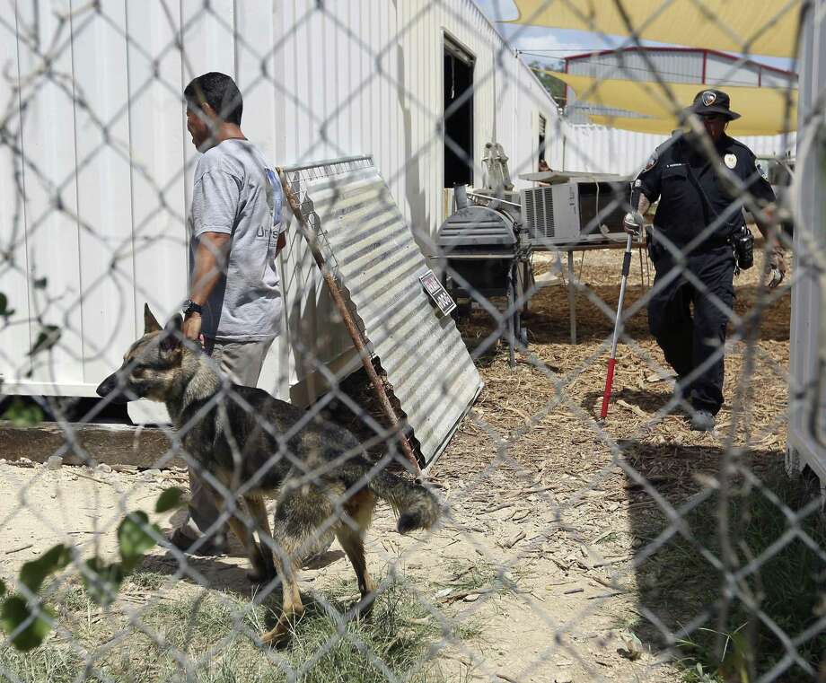 A handler moves a dog to an Animal Care Services transportation vehicle Wednesday, Aug. 8, 2018 at canine training facility Universal K9, 15329 Tradesman, near Loop 1604 on the Northwest Side, as an ACS officer walks behind the handler. State and federal authorities served a search warrant on the non-profit organization's facility early Wednesday morning and ACS took custody of 27 dogs from the facility as part of the raid. Photo: William Luther, Staff Photographer / Staff Photographer / Â© 2018 San Antonio Express-News