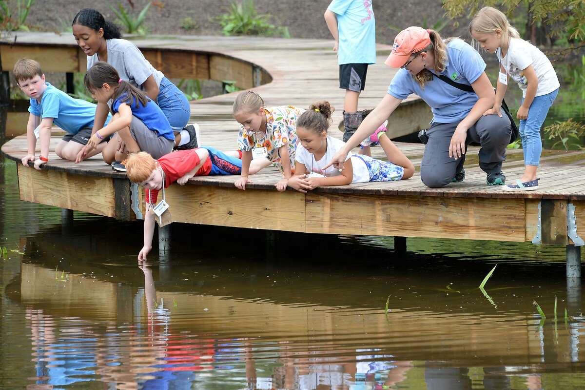 A group of children are led on a visit to the Houston Arboretum and Nature Center Thursday, June 21, 2018.