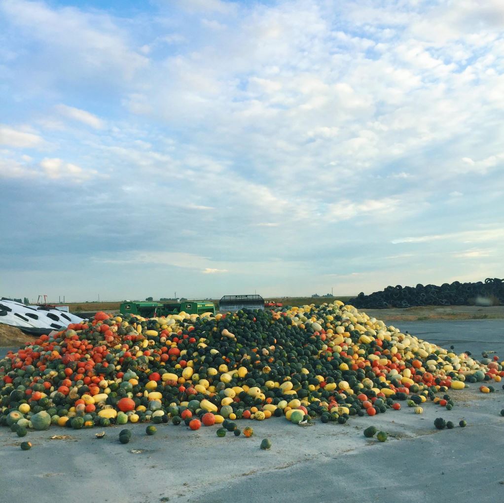 New company bringing discounted fresh produce deliveries to San Antonio