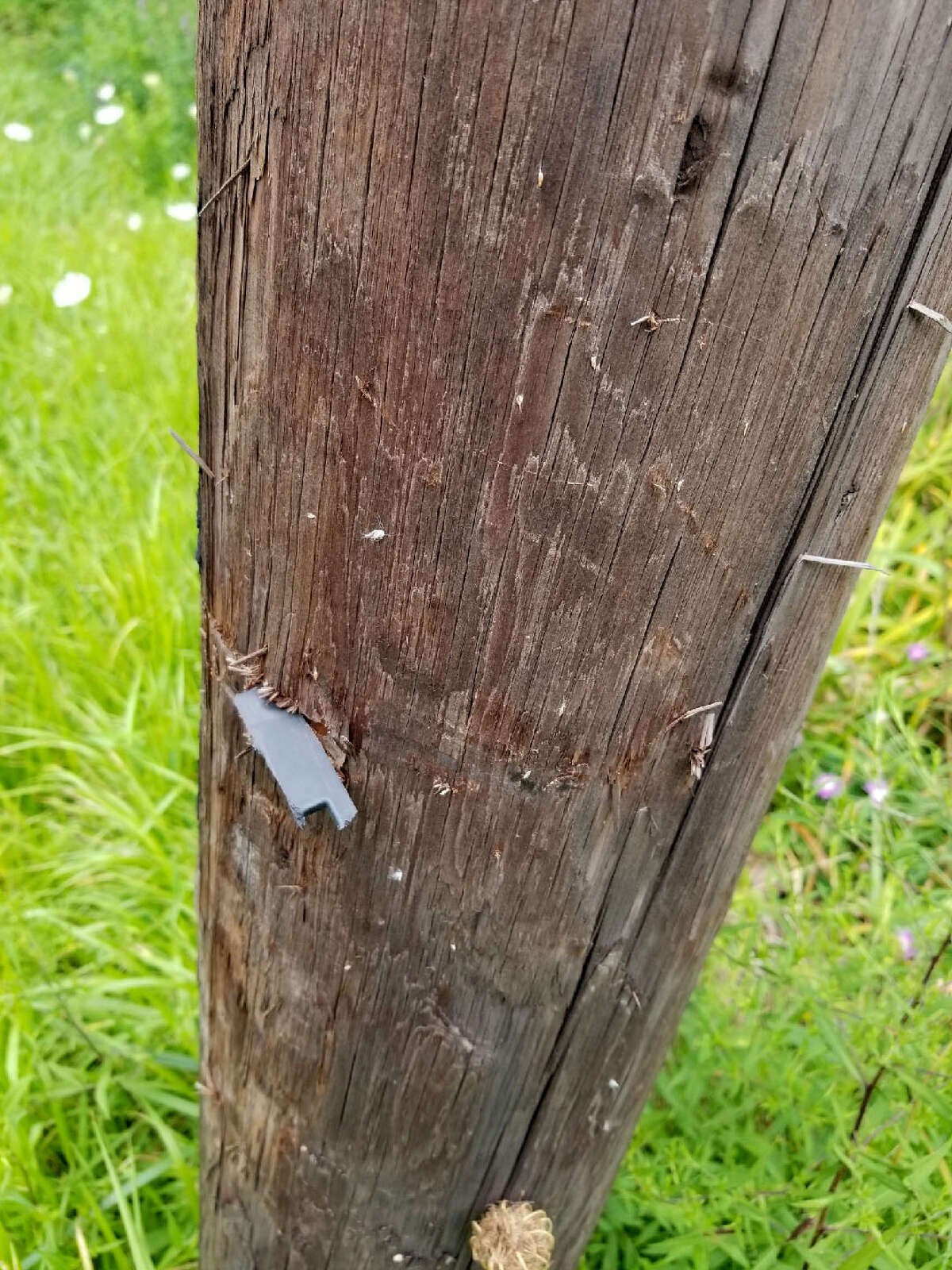 A piece of a side-view mirror from an unmarked SUV driven by State Police Sgt. Frank Stabile III remains embedded in a utility pole along Route 9G in Red Hook. Stabile told troopers he lost control of the vehicle when a deer jumped in front of him. (Provided photo)