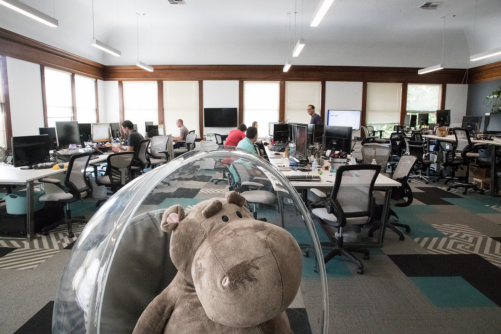 HippoScribe office