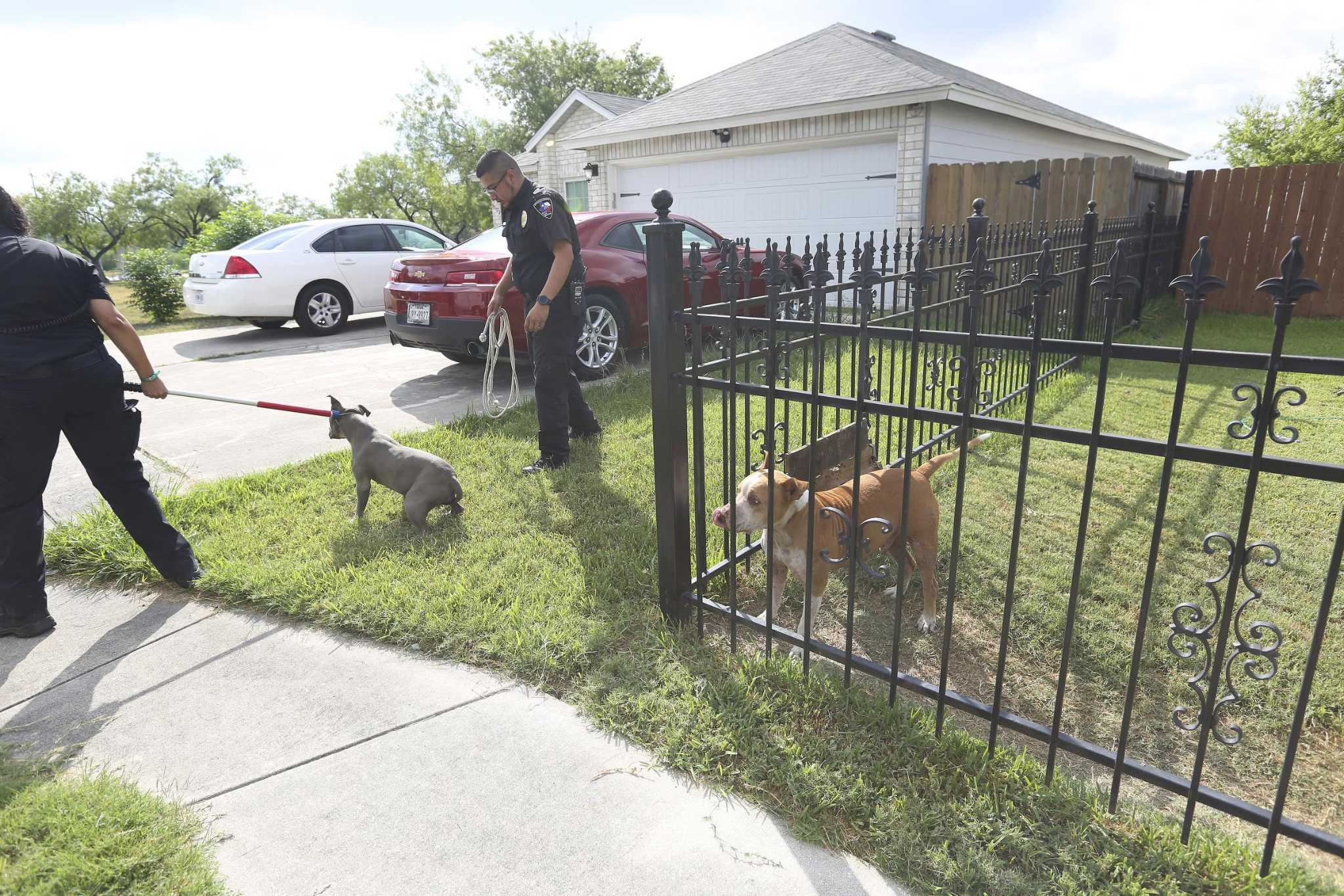 ACS officers educate pet owners about animal ordinance changes