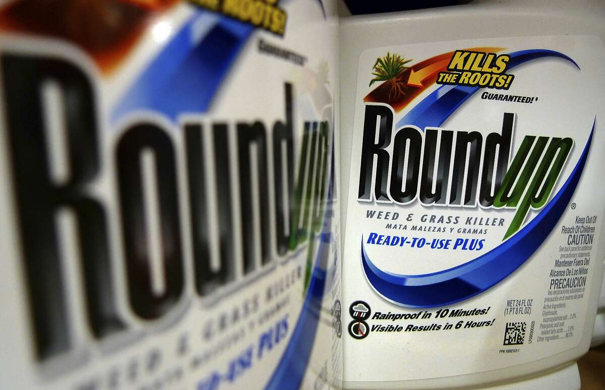 FILE - In this June 28, 2011, file photo, bottles of Roundup herbicide, a product of Monsanto, are displayed on a store shelf in St. Louis. A San Francisco jury on Friday, Aug. 10, 2018, ordered agribusiness giant Monsanto to pay $289 million to a former school groundskeeper dying of cancer, saying the company's popular Roundup weed killer contributed to his disease. (AP Photo/Jeff Roberson, File)