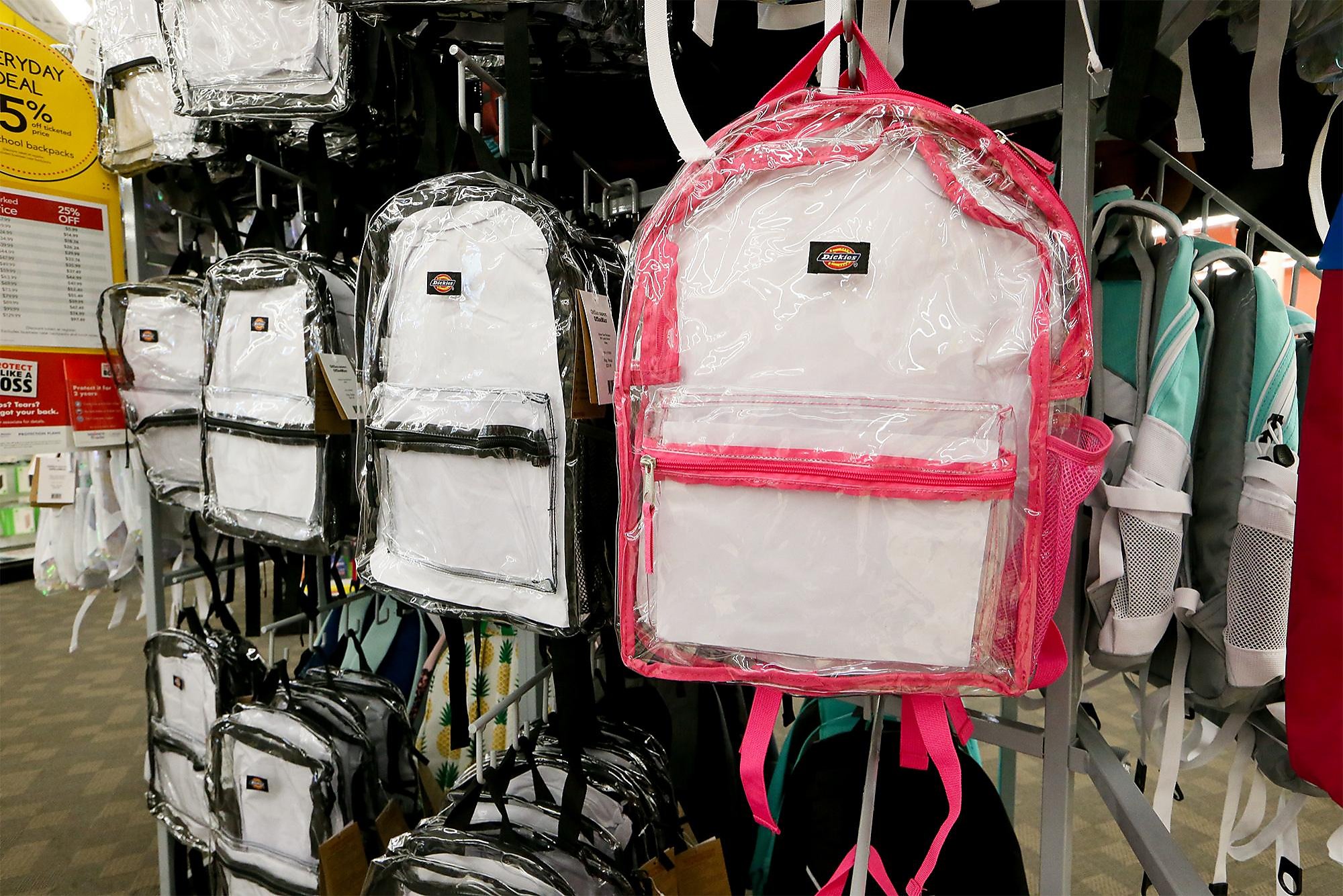 clear and mesh backpacks