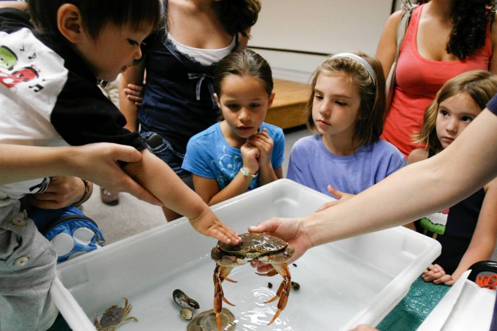 Maritime Aquarium makes a splash with children at Westport Library