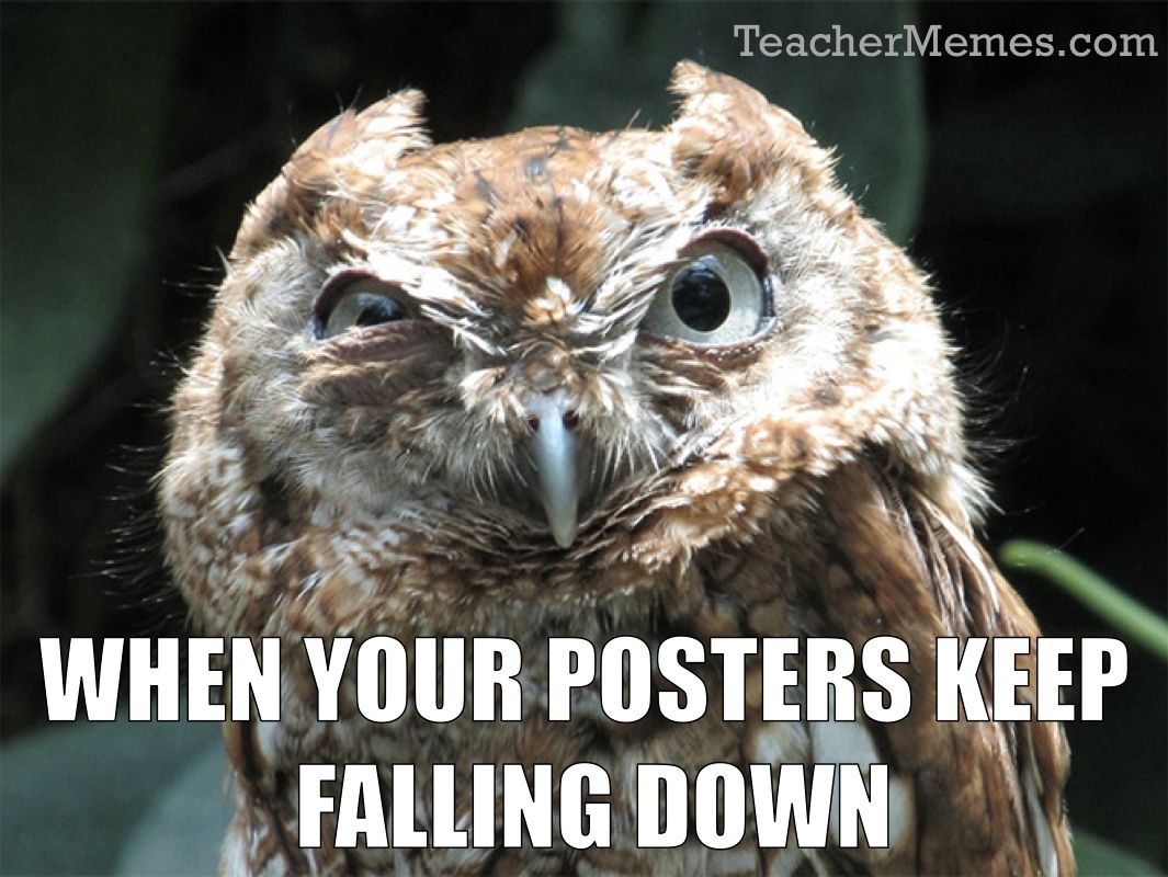 Back To School Memes Teachers And Students Can Relate To This Year The Courier