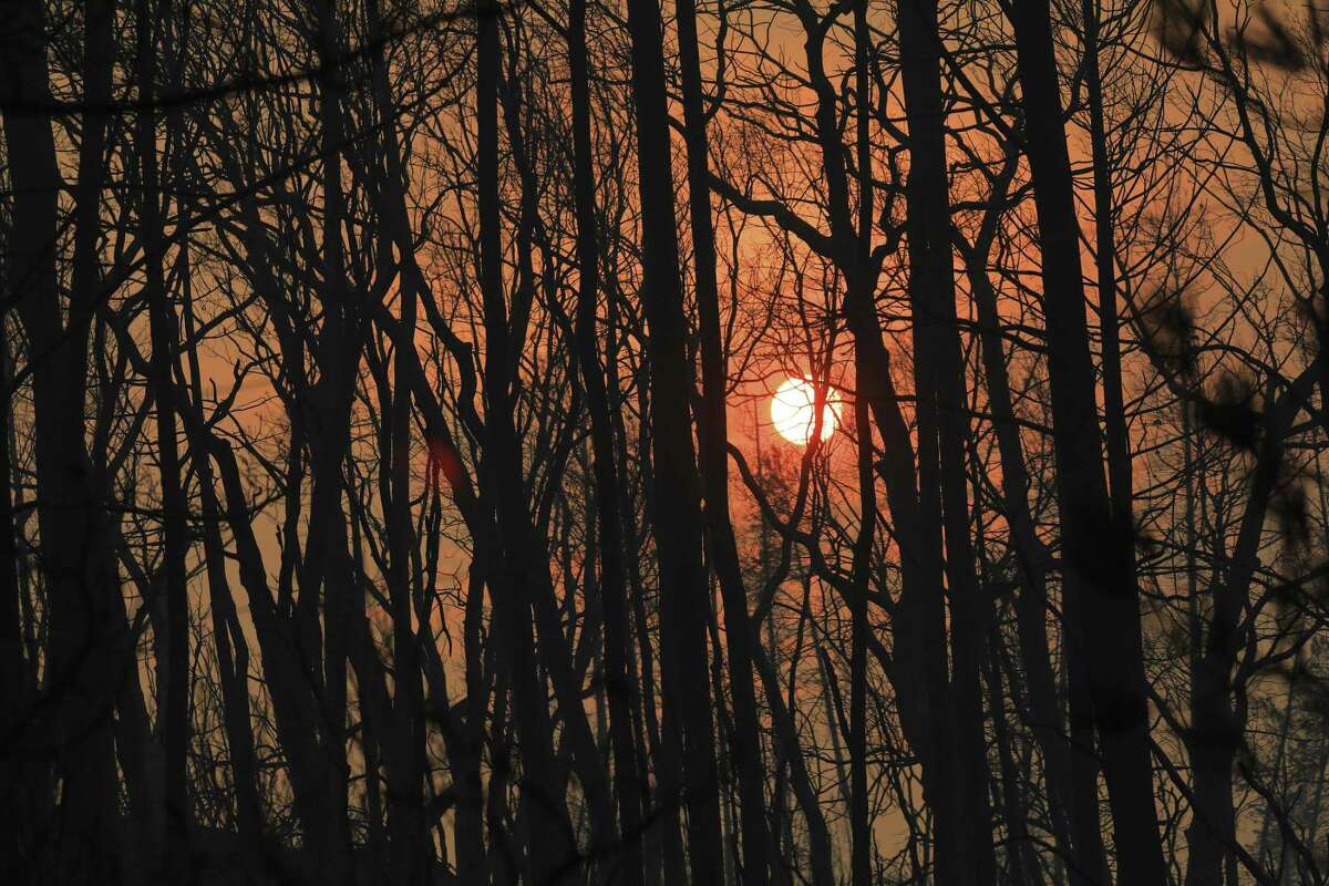 Massive carr fire tornado trapped killed redding firefighter report says