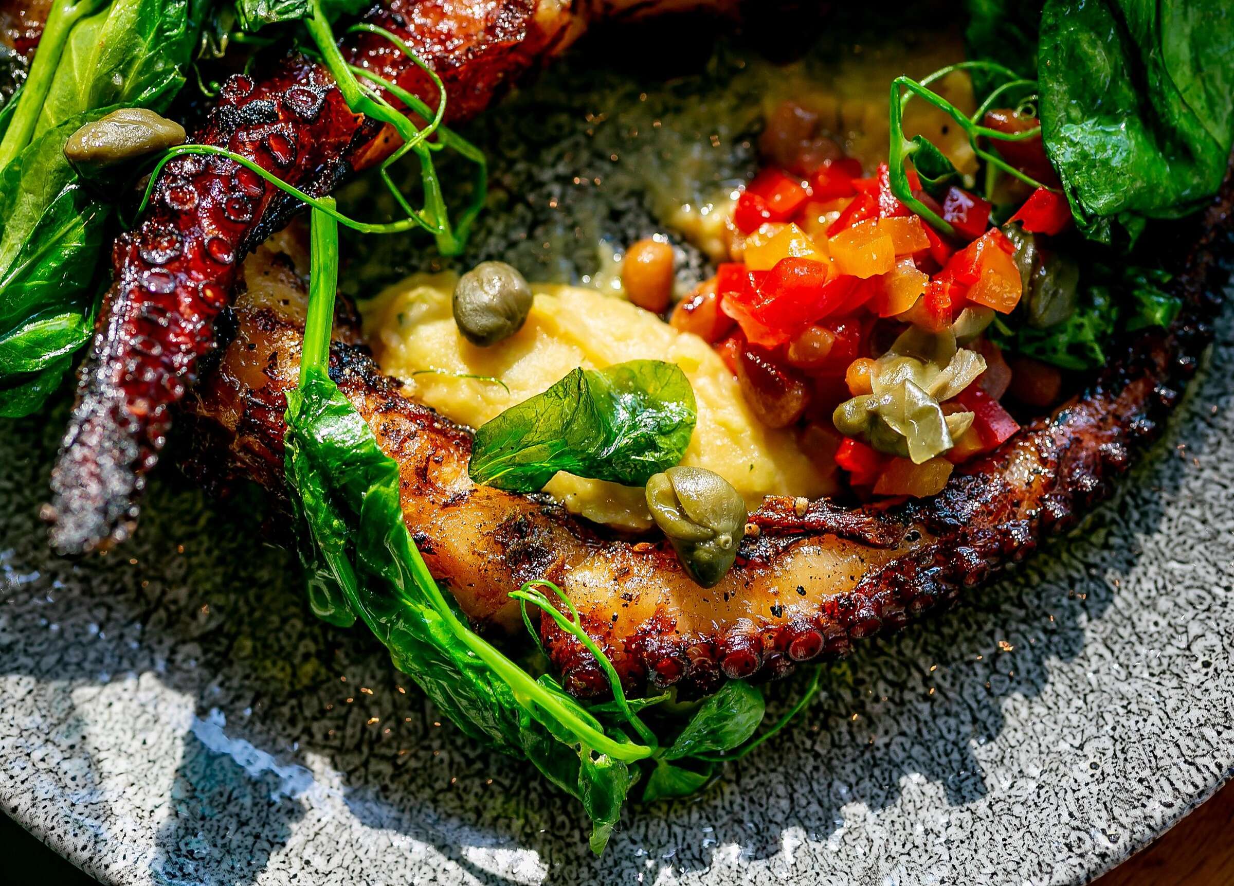 Taverna Palo Alto - nor1lla