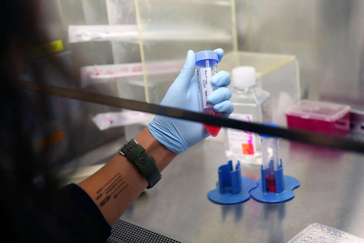 Post doctoral researcher Camille Sindhu researches genome editing in blood forming stem cells for HIV resistant immune system at Stanford Institutes of Medicine's Lorry I. Lokey Stem Cell Research Building in Stanford, Calif., on Thursday, March 15, 2018.