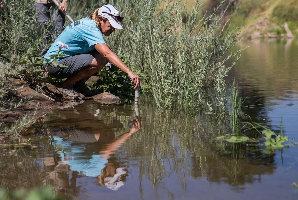 Tuolumne River Trust Central Valley Director of Education Outreach Meg Gonzalez tests water levels near Ceres River Bluff Regional Park along the Tuolumne River in Ceres, Calif. Friday, Aug. 17, 2018.