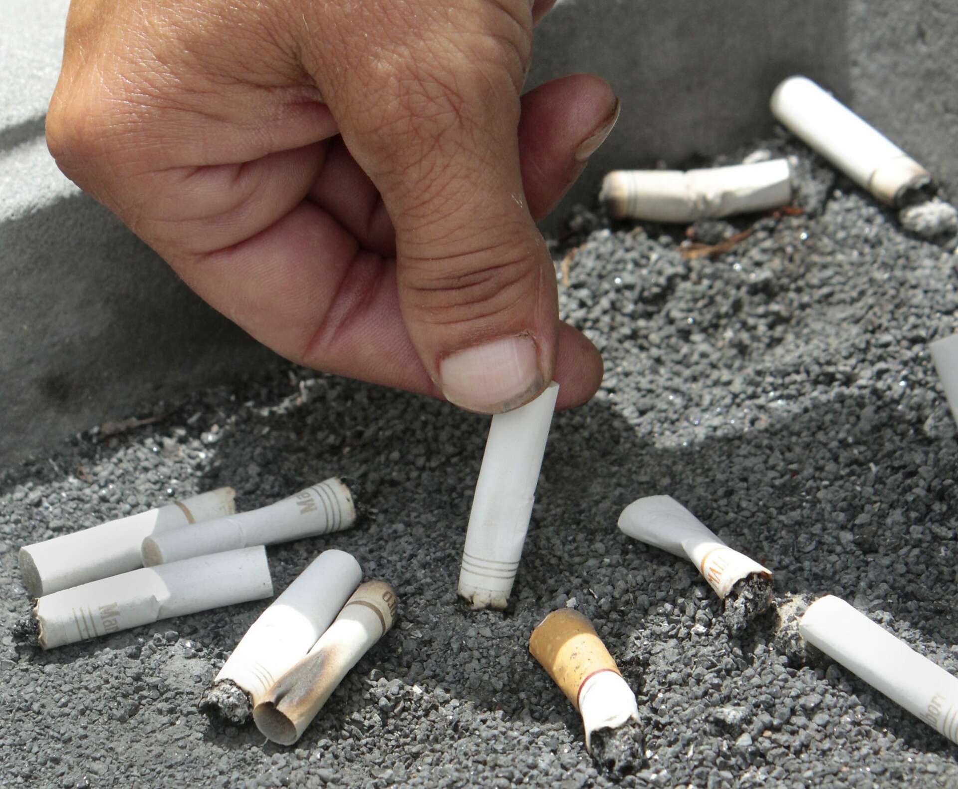 tally-ho king size cigarette tubes Buy Tube Cut Tubes king Regular Online