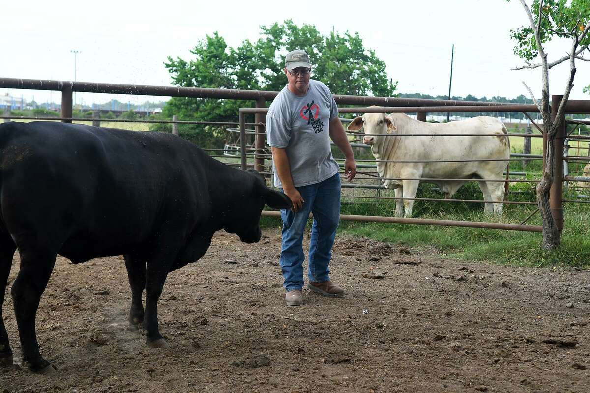 Crosby rancher recovers from from $40K loss after Harvey