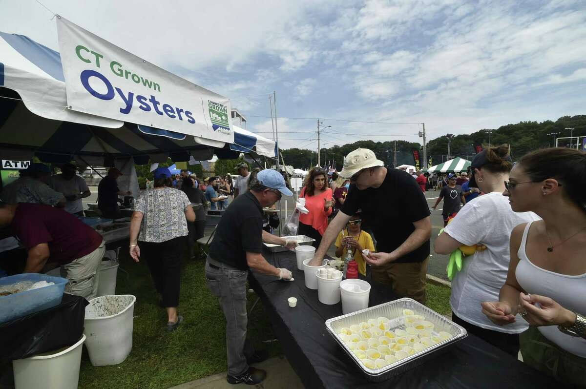 Slurp’s up at Milford Oyster Festival