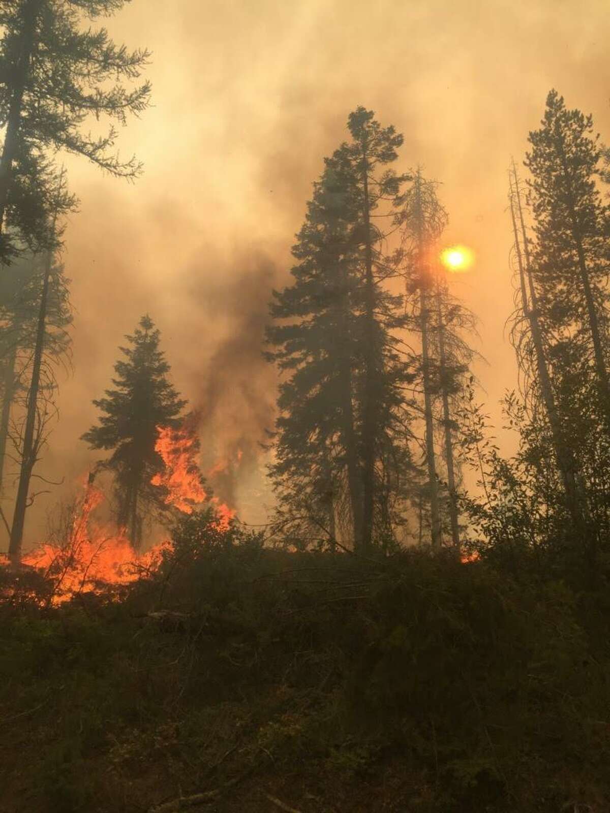A view of the Boyds Fire near Kettle Falls, Washington. The climate crisis has caused massive fires to Western North America, this summer in Alaska and Northern Canada. , extending from